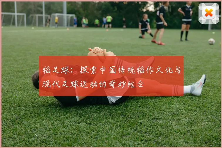 稻足球：探索中国传统稻作文化与现代足球运动的奇妙结合